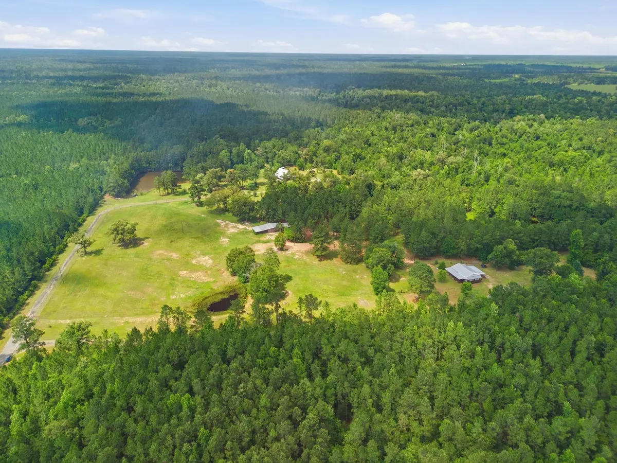 Panhandle Rd, Dequincy, LA 70633 - #1