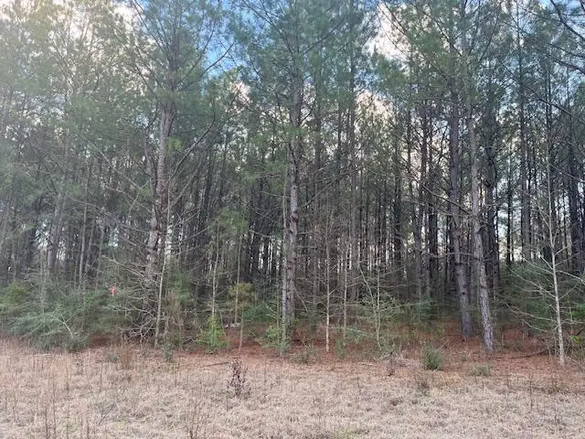 Nichols Rd., Leesville, LA 71446 - Image #2