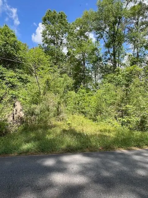 Jeane Chapel Rd, Leesville, LA 71446 - #2