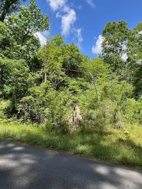 Jeane Chapel Rd, Leesville, LA 71446 - #3