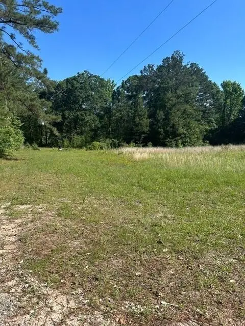 431 Fort, Leesville, LA 71446 - #3