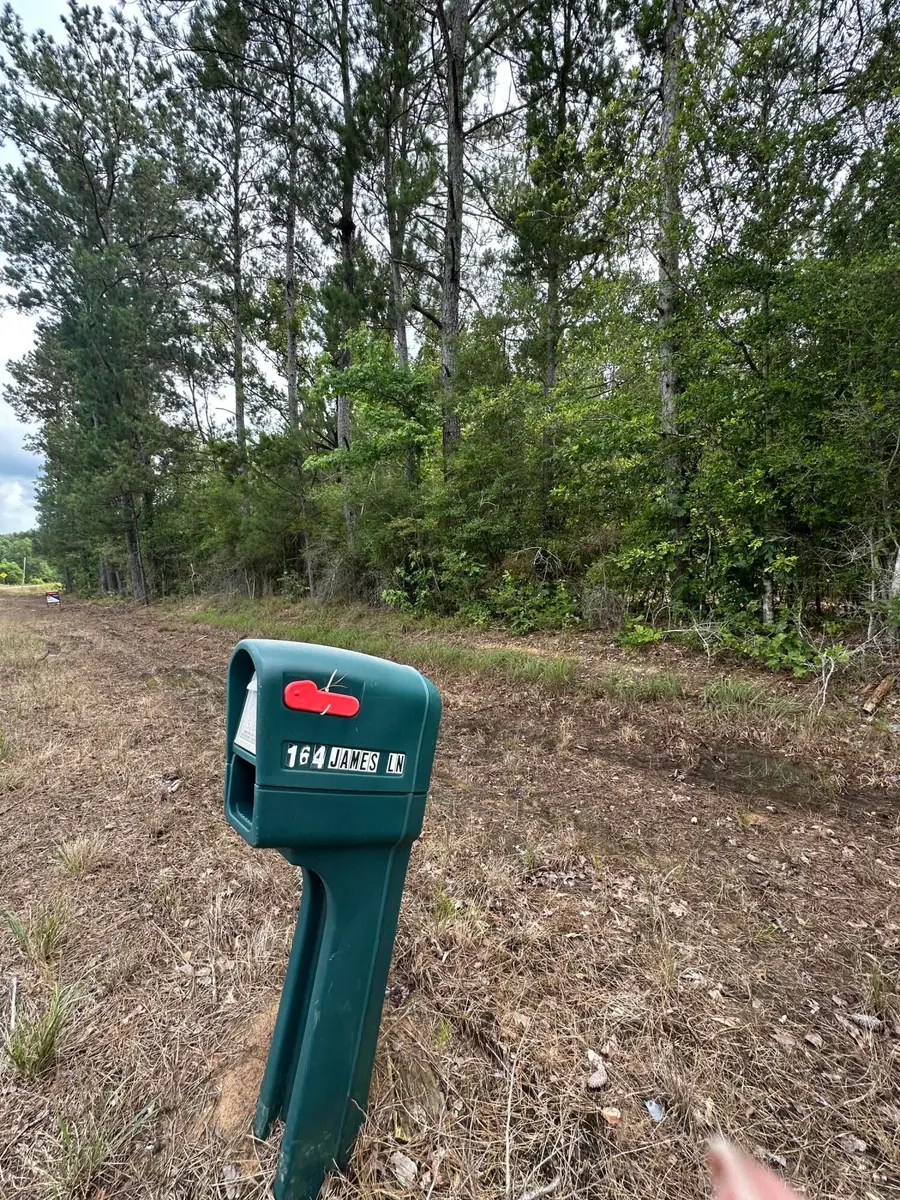 James Lane, Deridder, LA 70634 - #3