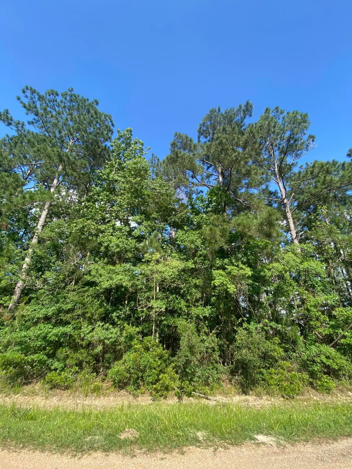 Hwy 190, Deridder, LA 70634 - Image #1