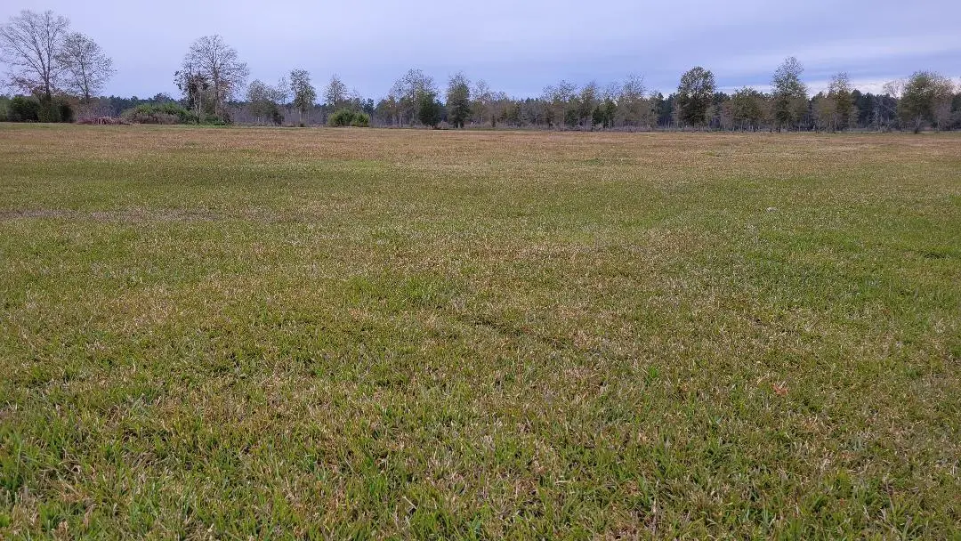 Tbd Hwy 27 Tract 1, Deridder, LA 70634 - Image #1