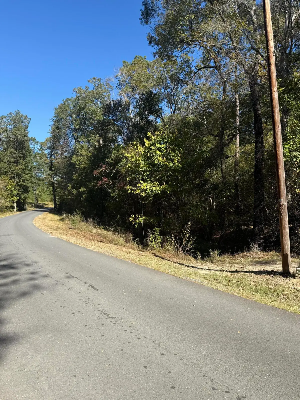 Malcolm Smart, Leesville, LA 71446 - Image #1