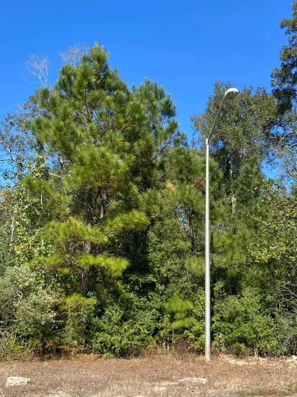 E Robinwood Dr, Moss Bluff, LA 70611