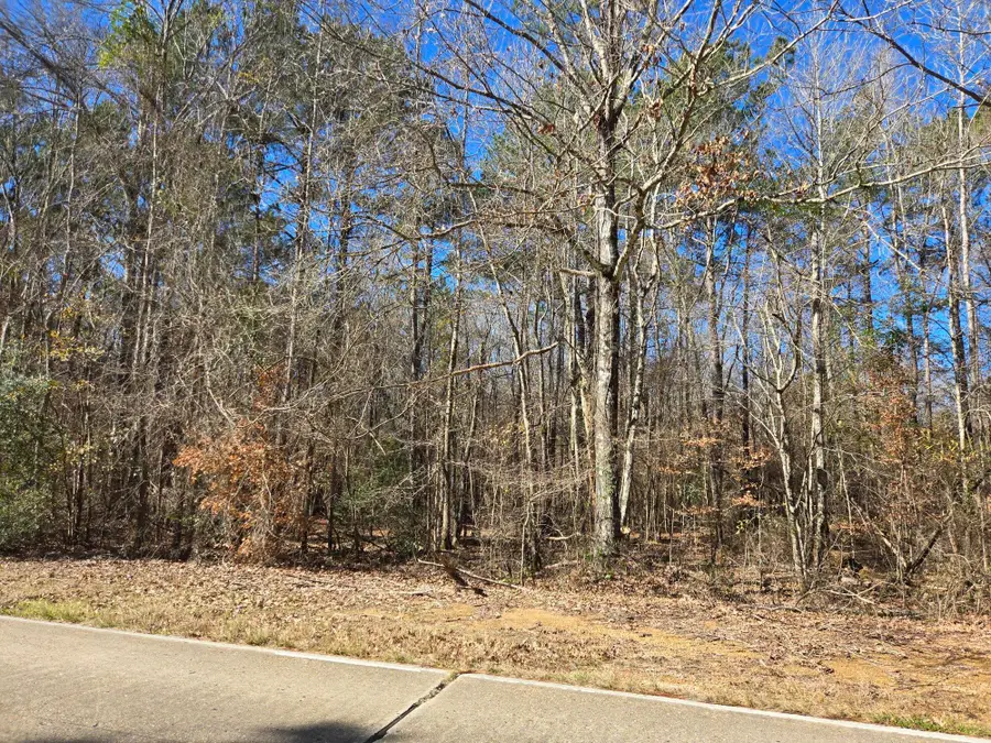 Tbd La-184 Tract 1, Leesville, LA 71446 - #2