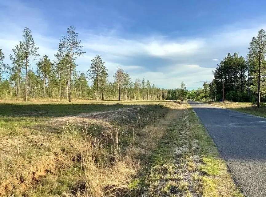 0 Sandy Loop Tract 4, Merryville, LA 70653 - #1