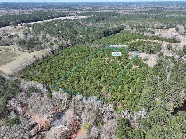 Tract 2 Scott Rd, Leesville, LA 71446