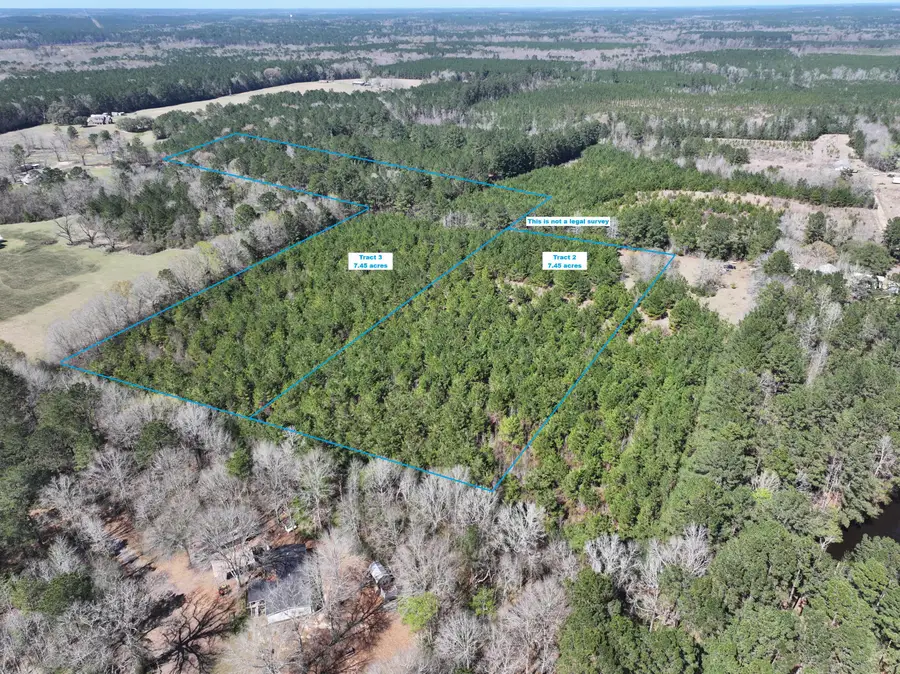Tract 2 Scott Rd, Leesville, LA 71446 - #3