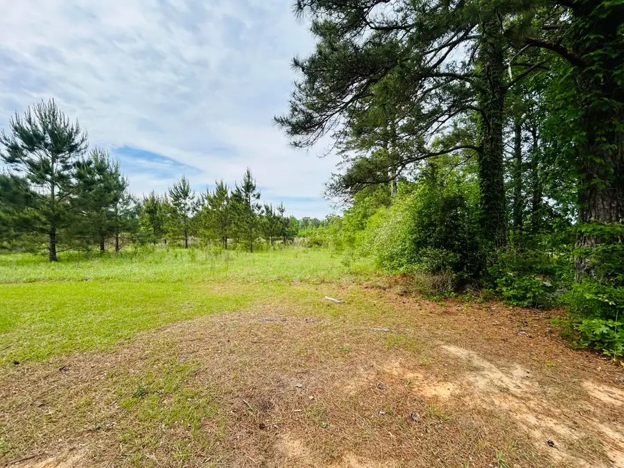 Tbd Martin Road, Pitkin, LA 70656 - #2