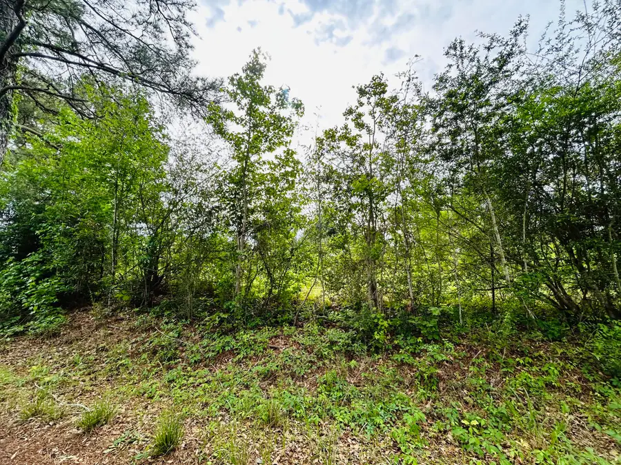 Tbd Martin Road, Pitkin, LA 70656 - #3