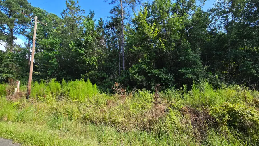 3rd Ave, Oberlin, LA 70655 - #3