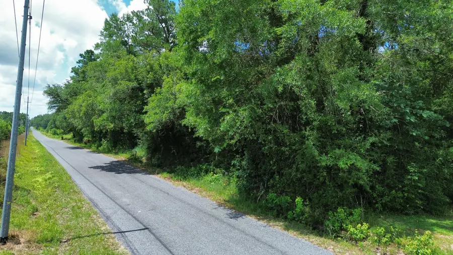 766 Green Rd., Deridder, LA 70634 - #2