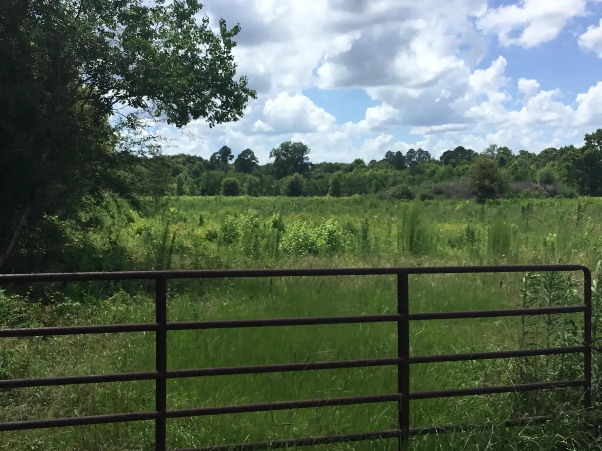 Tbd Highway 190 W / Wingate Rd, Deridder, LA 70634 - #1