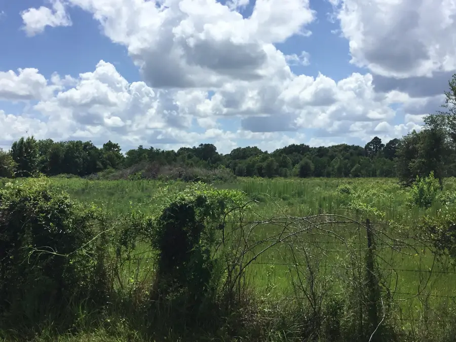 Tbd Highway 190 W / Wingate Rd, Deridder, LA 70634 - #3
