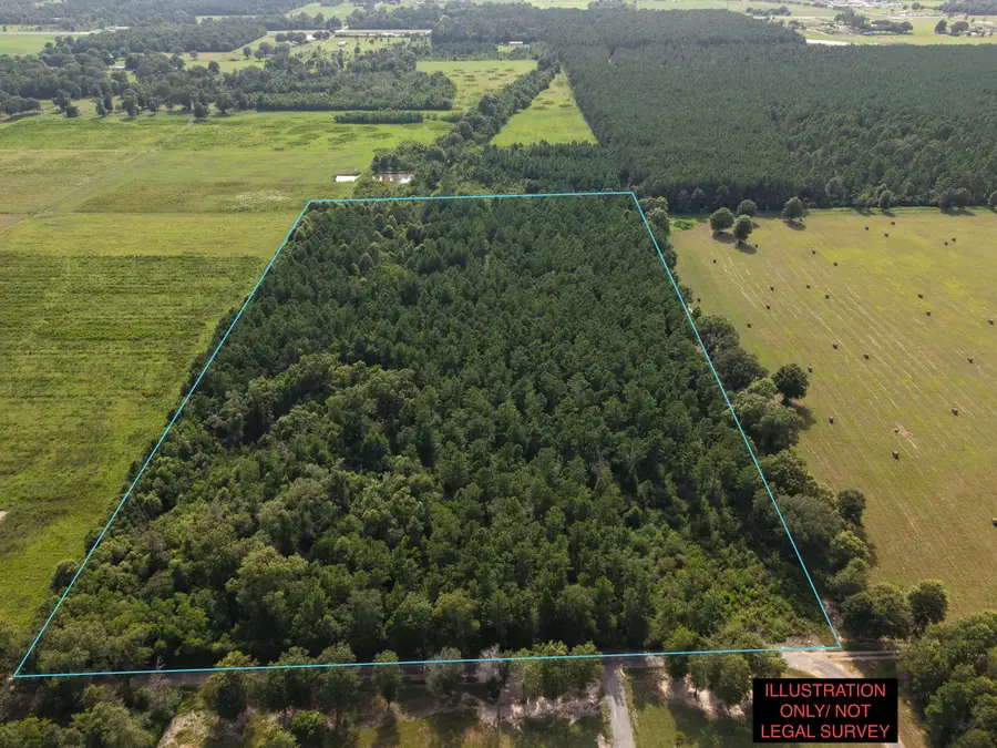 Flat Creek Ranch, Deridder, LA 70634 - #2