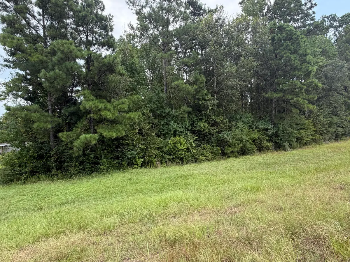 4 Acres Hwy 171, Longville, LA 70652 - #1
