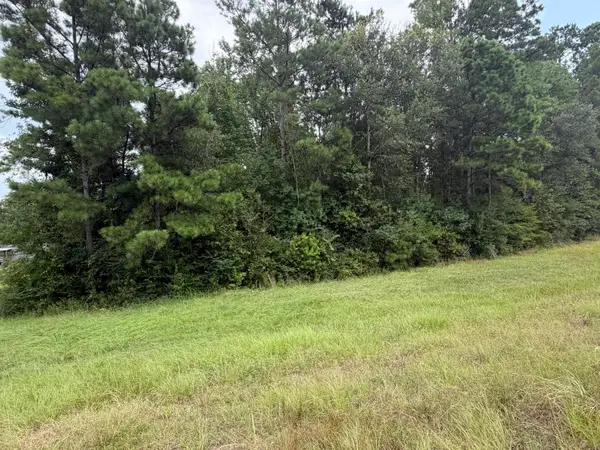 4 Acres Hwy 171, Longville, LA 70652
