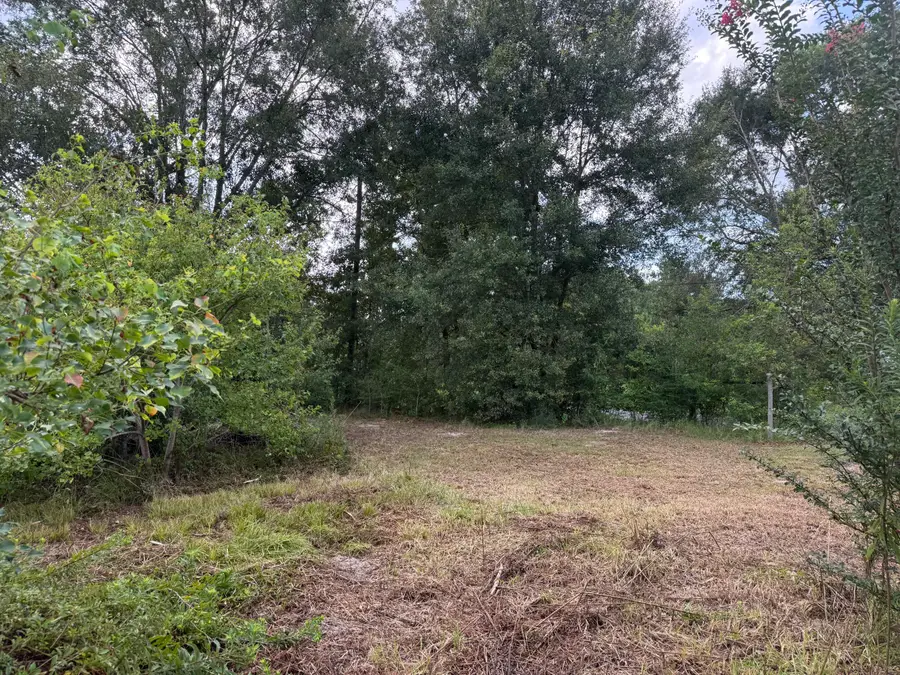 Tbd Hauser Rd, Deridder, LA 70634 - #2