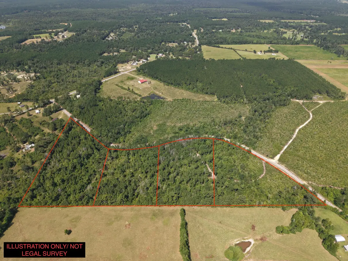 Lot 2 Charles Libick Rd, Deridder, LA 70634 - #1
