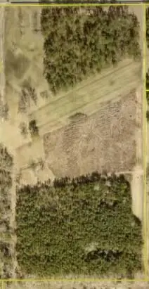 Jack Nelson, Deridder, LA 70634 - #2