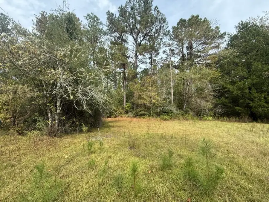 Tbd, Pitkin, LA 70656 - #2