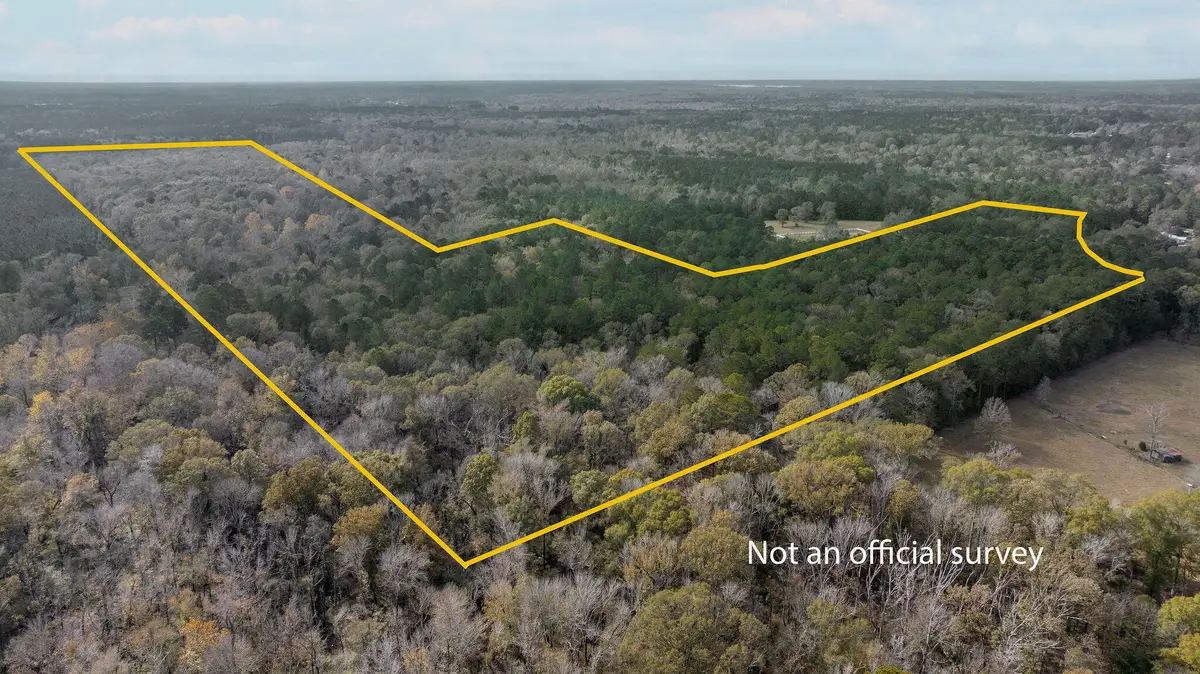 W Hawthorne, Leesville, LA 71446 - Image #1