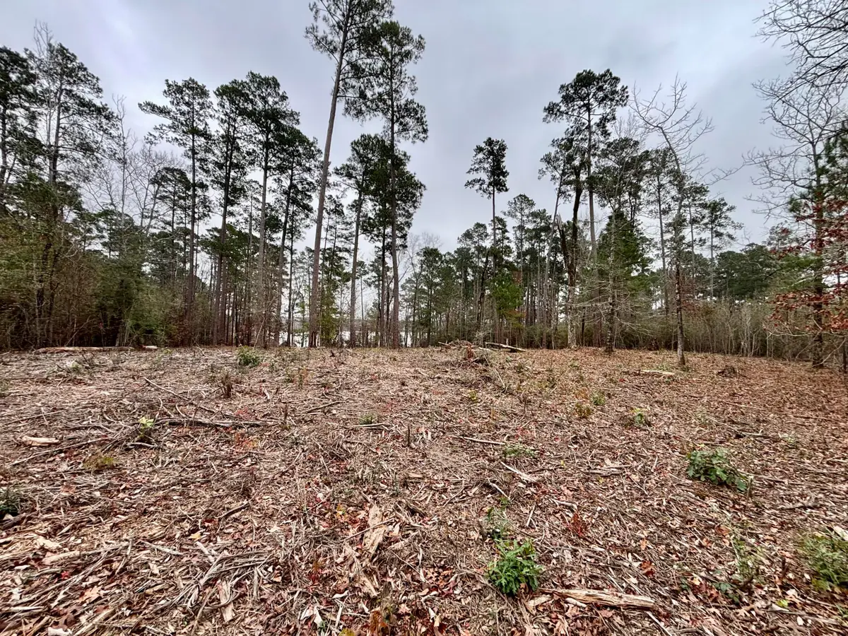 Lazy Point Trail, Many, LA 71449 - Image #1