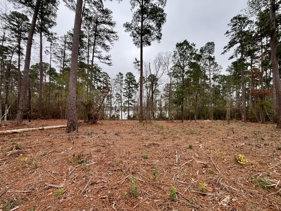 Lazy Point Trail, Many, LA 71449 - Image #2