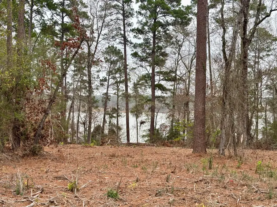 Lazy Point Trail, Many, LA 71449 - Image #3