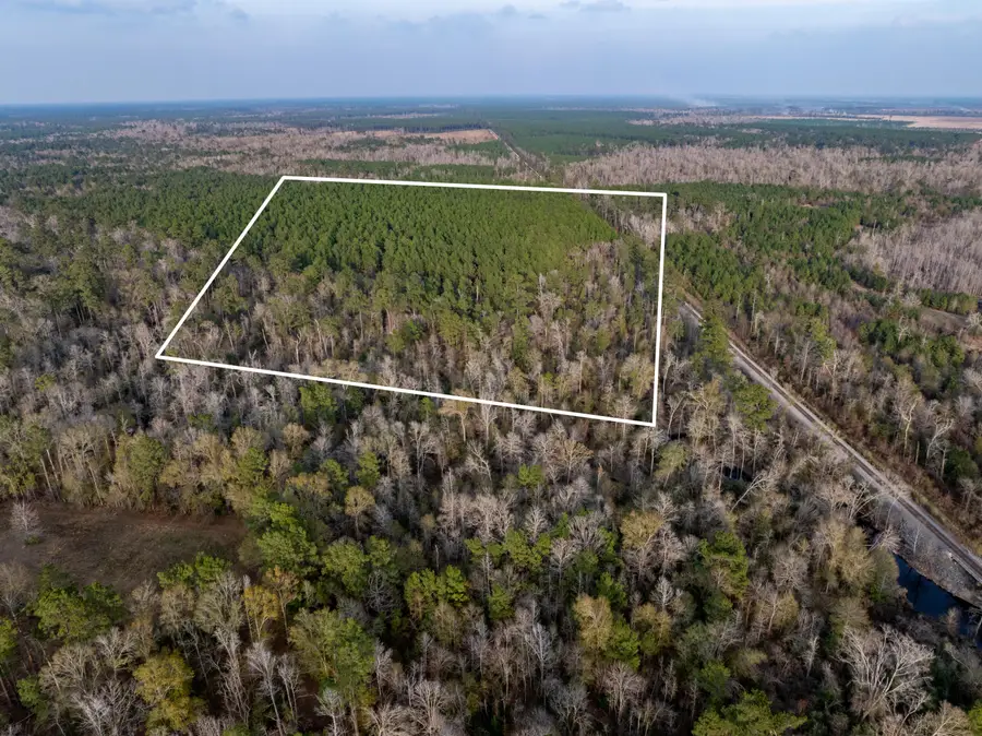 Bob Cooley Rd, Deridder, LA 70634 - #2