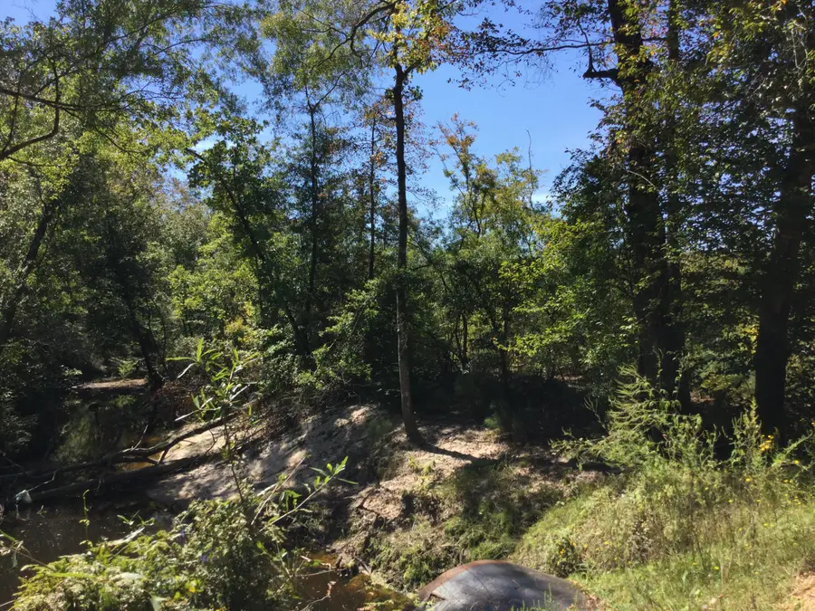 Highway 463, Leesville, LA 71446 - Image #3