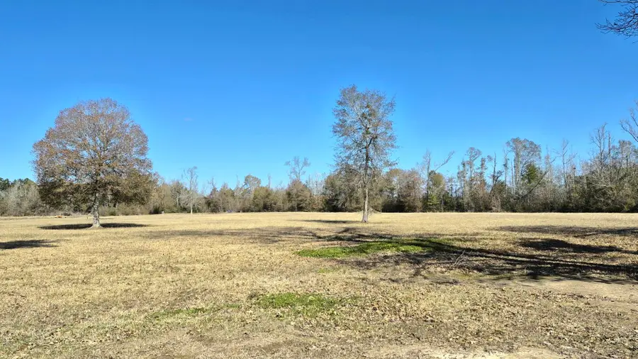 291 Spruce Street, Kinder, LA 70648 - #3