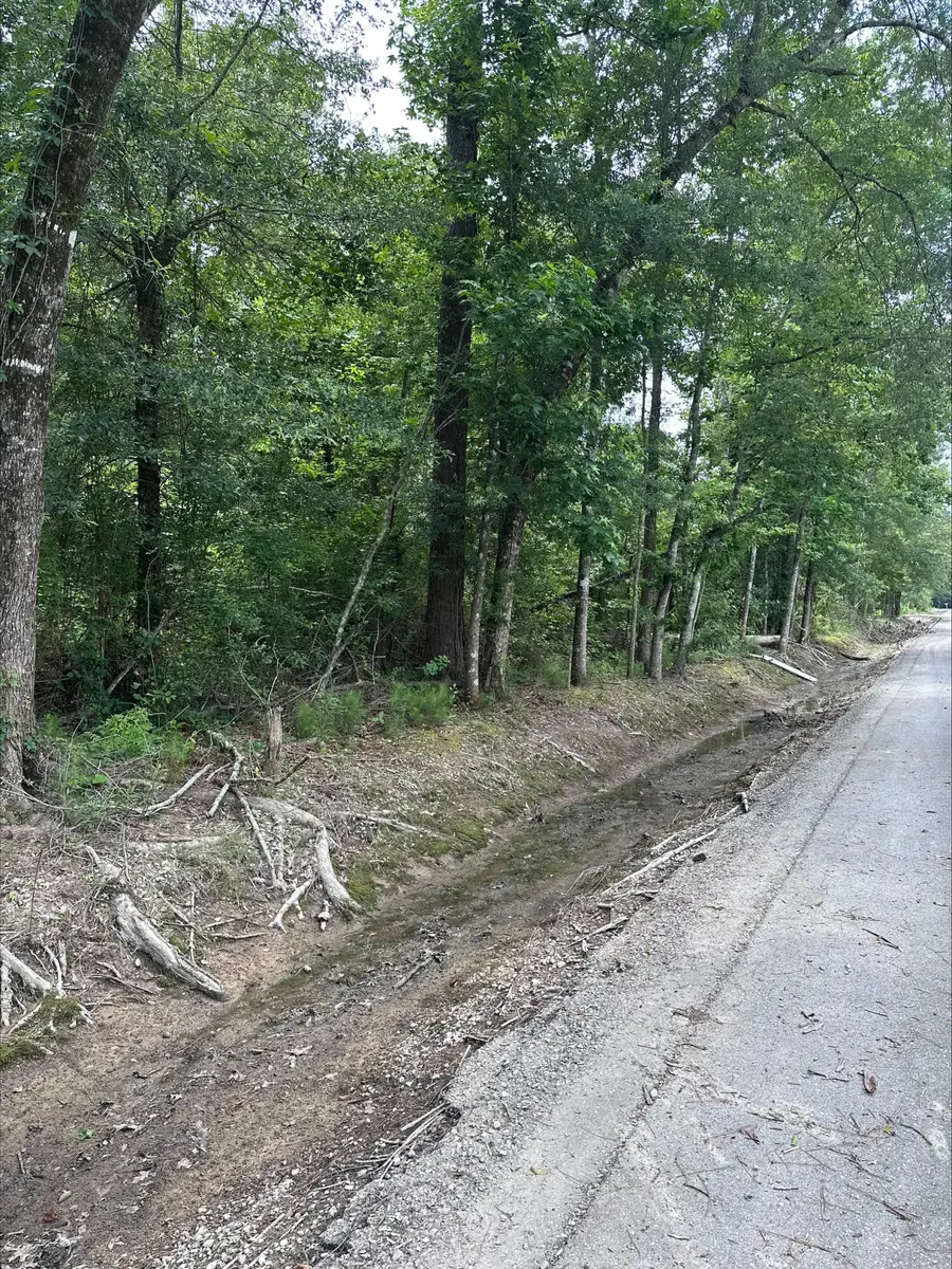 Angus Dr, Ragley, LA 70657 - #2