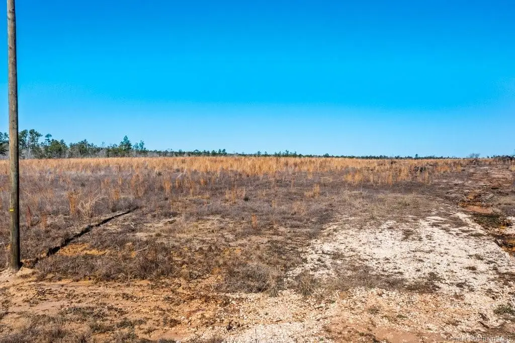 Whittington, Longville, LA 70652 - #1