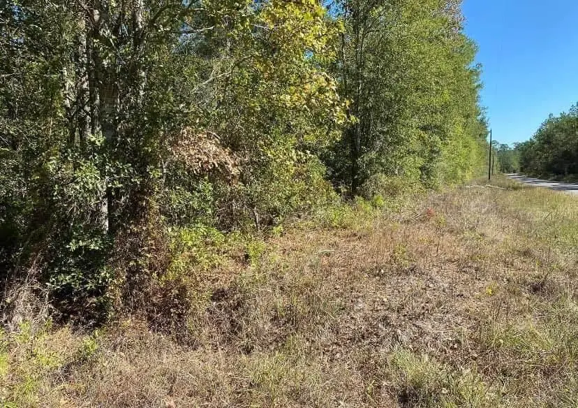 Longville Rd, Dry Creek, LA 70637 - #3