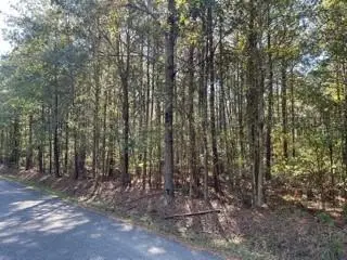 Lot 3 Big Lake Road, Pineville, LA 71360 - #1