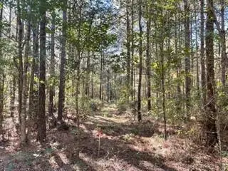 Lot 3 Big Lake Road, Pineville, LA 71360 - #2
