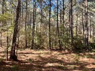Lot 3 Big Lake Road, Pineville, LA 71360 - #3
