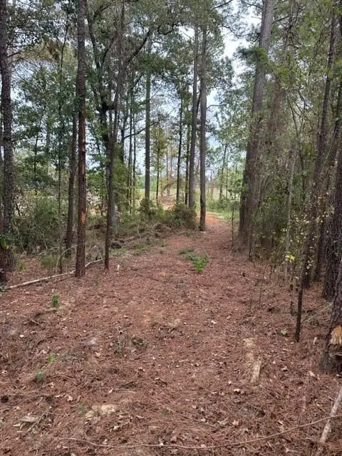 0 Williford Road, Ball, LA 71360 - Image #2