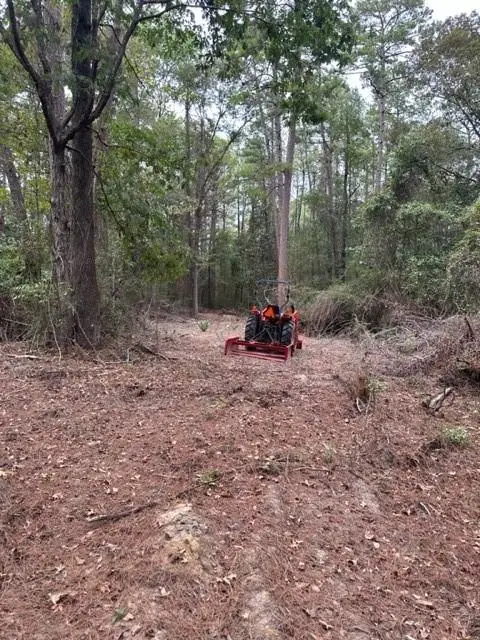 0 Williford Road, Ball, LA 71360 - Image #3