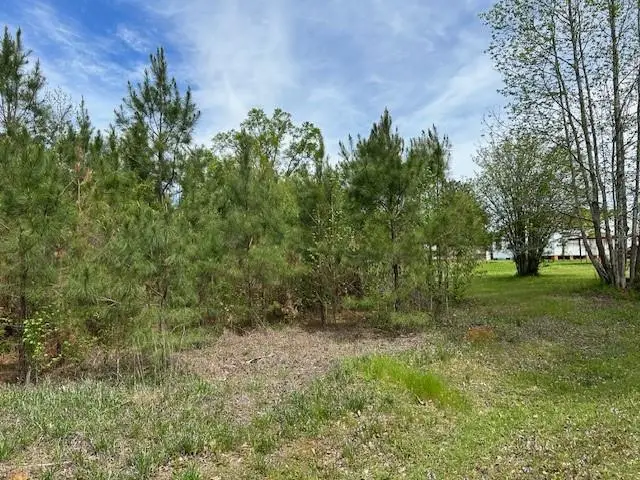 0 Beeson Drive, Ball, LA 71405 - Image #1