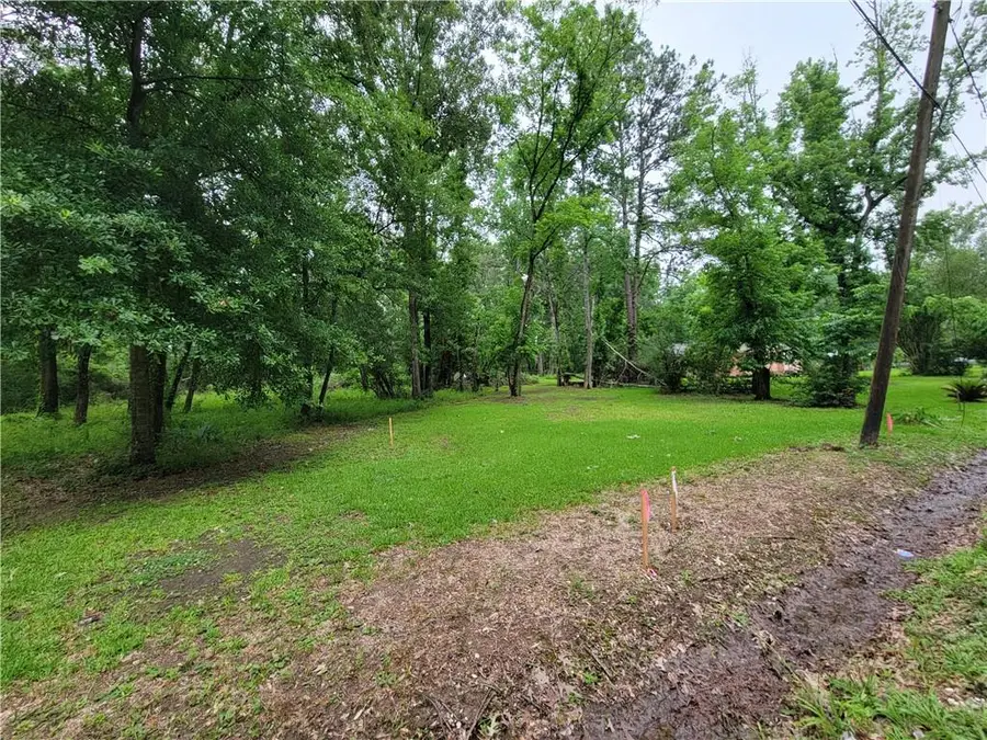 135 Mcgary Lane, Ponchatoula, LA 70454 - Image #3