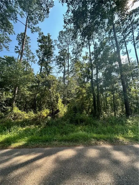 2678 Lucille Drive, Lacombe, LA 70445 - #2