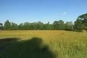#1