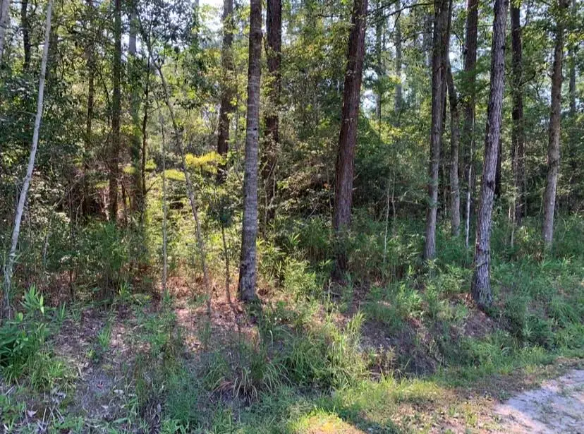 Tee Street, Abita Springs, LA 70420 - #3