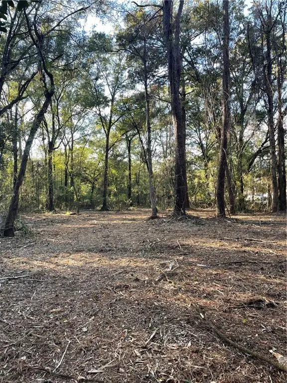 TBD Harvey Lavigne Road, Ponchatoula, LA 70454 - Image #3