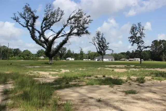 29658 Billy Joe Road, Independence, LA 70443 - Image #3