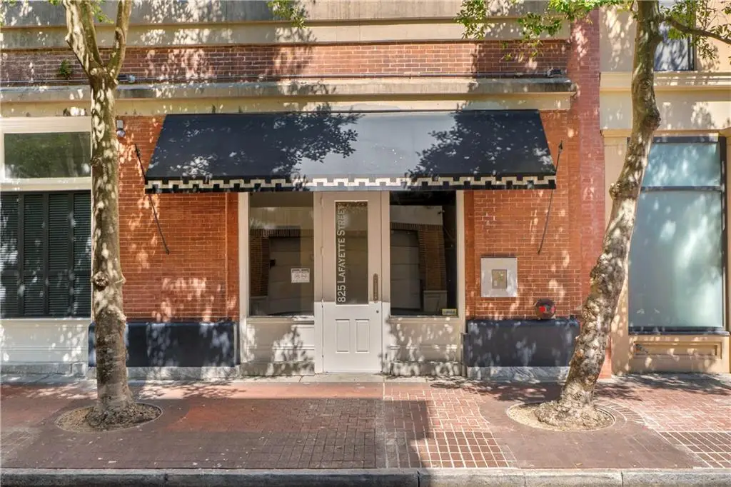 825 Lafayette St  Unit 7 Lafayette Street #7, New Orleans, LA 70113 - Image #1